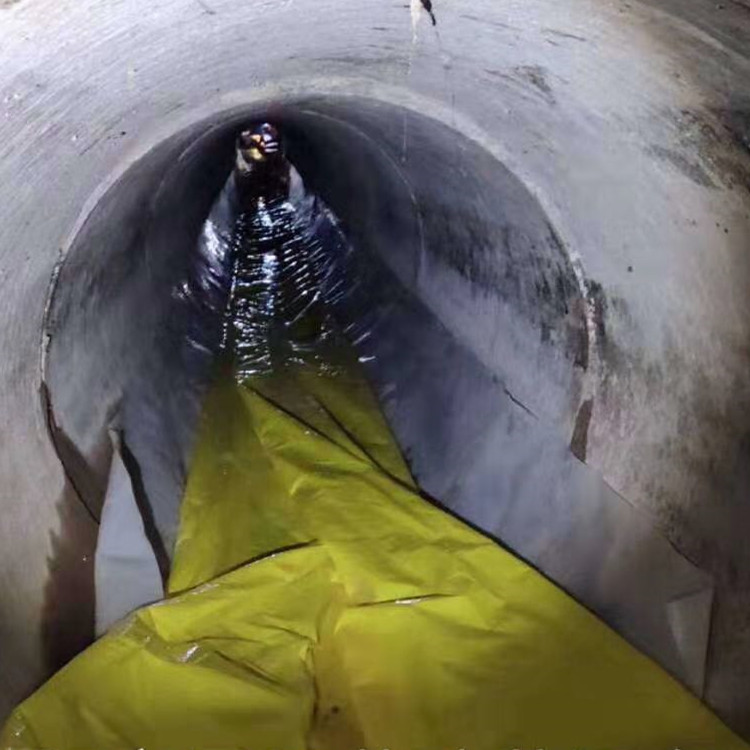 海棠管道光固化修复