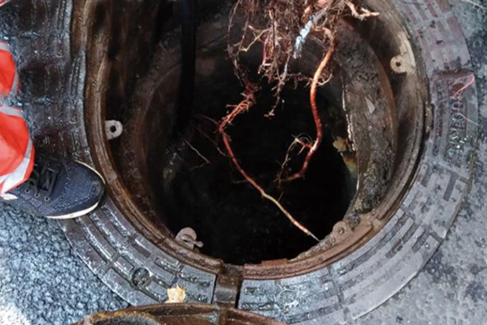 海棠管道预处理